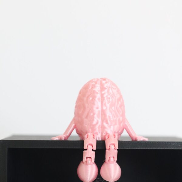 Brain