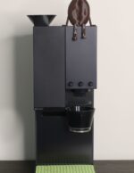Coffee bean - Image 8